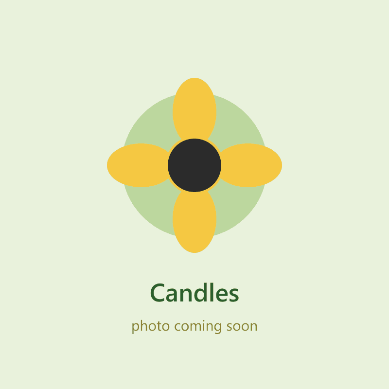 Realistic Custard Apple (Sitafal) Candle